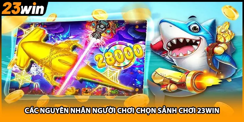 Các nguyên nhân người chơi chọn sảnh chơi 23WIN